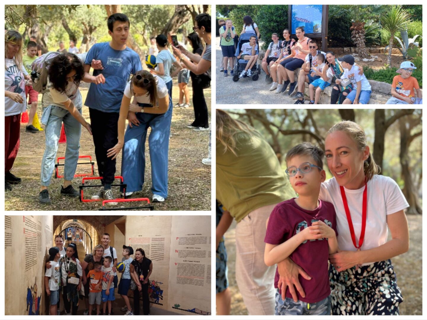 Collage_20250607_121144