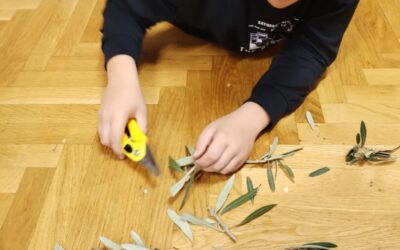 Pletenje pomica i maslina