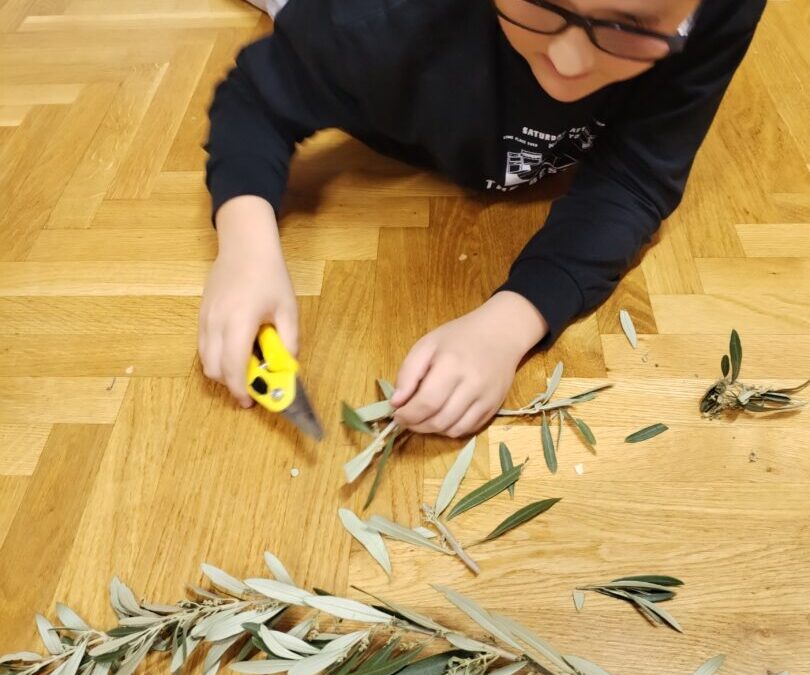 Pletenje pomica i maslina