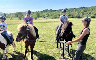 Divan dan u Konavlima